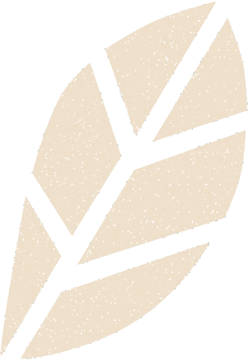 Vector Image
